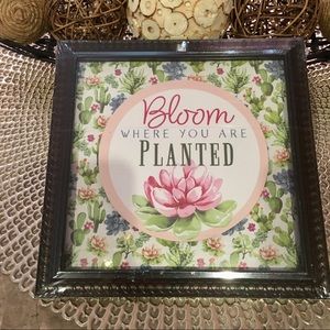 Bloom Where You Are Planted Wall Art